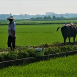 Où visiter les marchés de Noël à Prague en 2026 ?