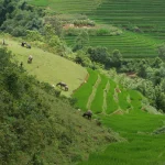 Les lieux de tournage de Mon petit renne (Netflix, 2024)