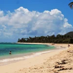 Nos conseils pour une première visite de l’île de Marie-Galante