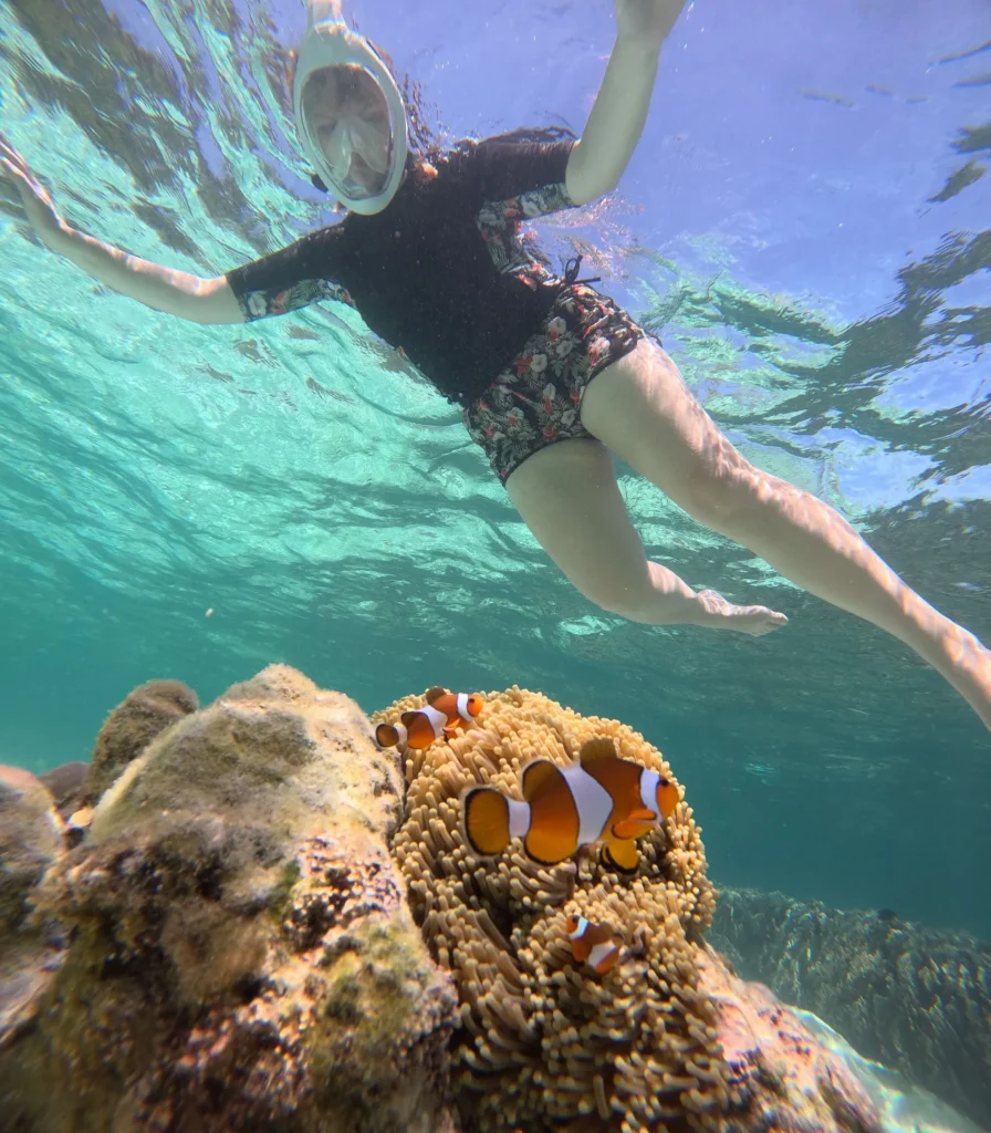 poisson clown anémone snorkeling