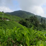 Guide voyage Koh Lipe : Prendre le ferry de Langkawi jusqu’à Koh Lipe 