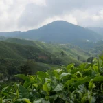 Que faire à Malacca ? Les meilleures expériences à ne pas manquer