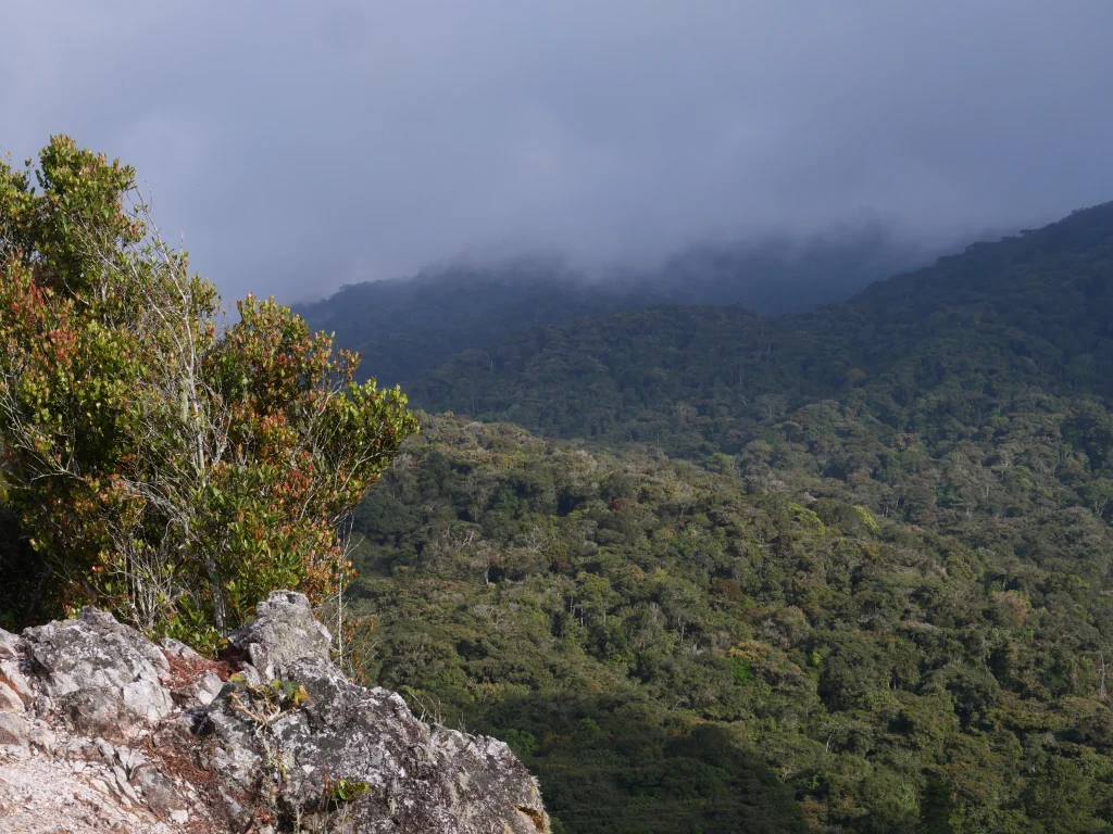 vue depuis coral hill