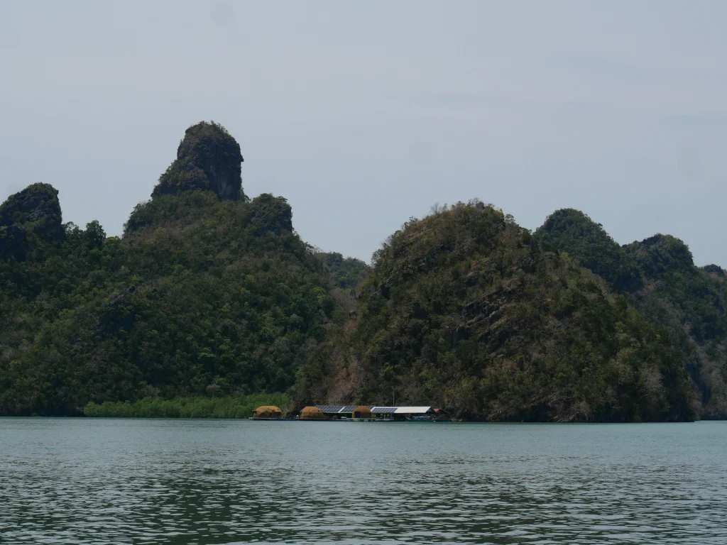 mangrove de langkawi