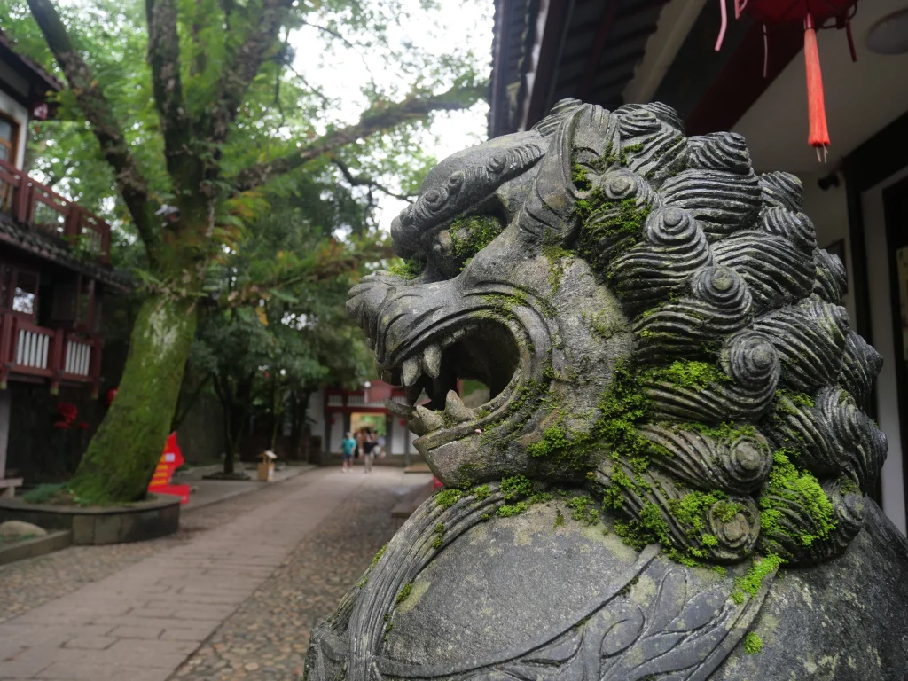 rue authentique du parc national de Wuyishan