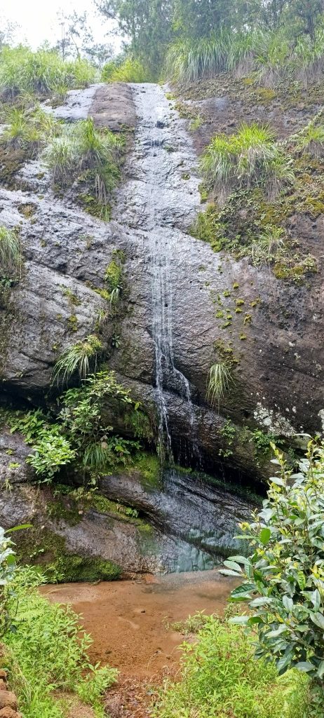 la cascade de rideau